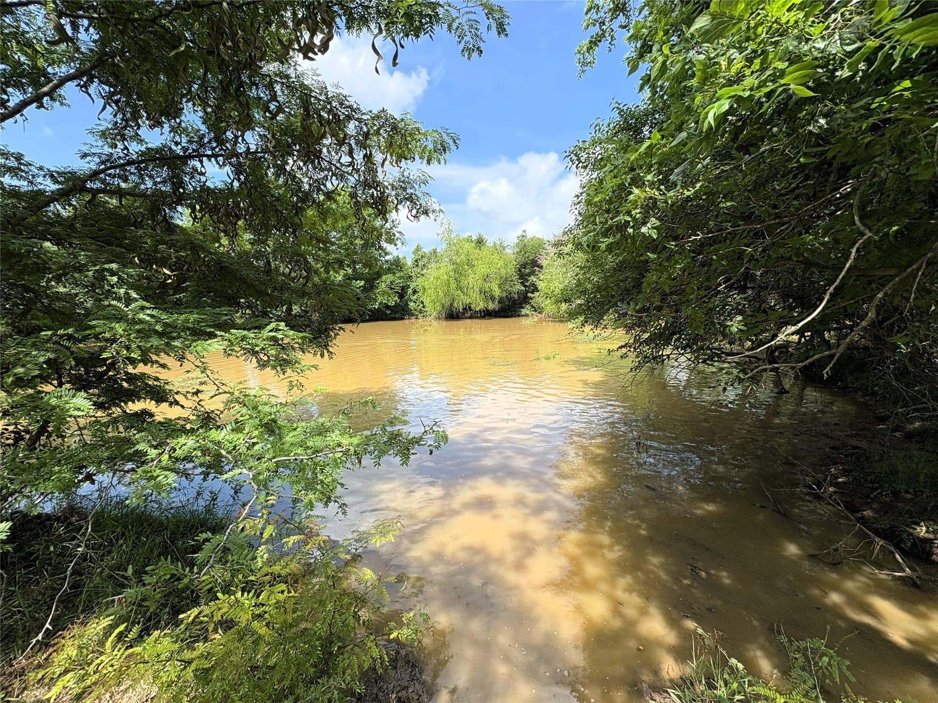 149.49 acres in Limestone County - photo 11