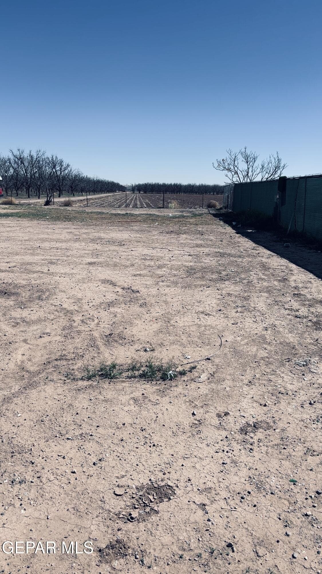 0.11 acres in El Paso County gallery image 4