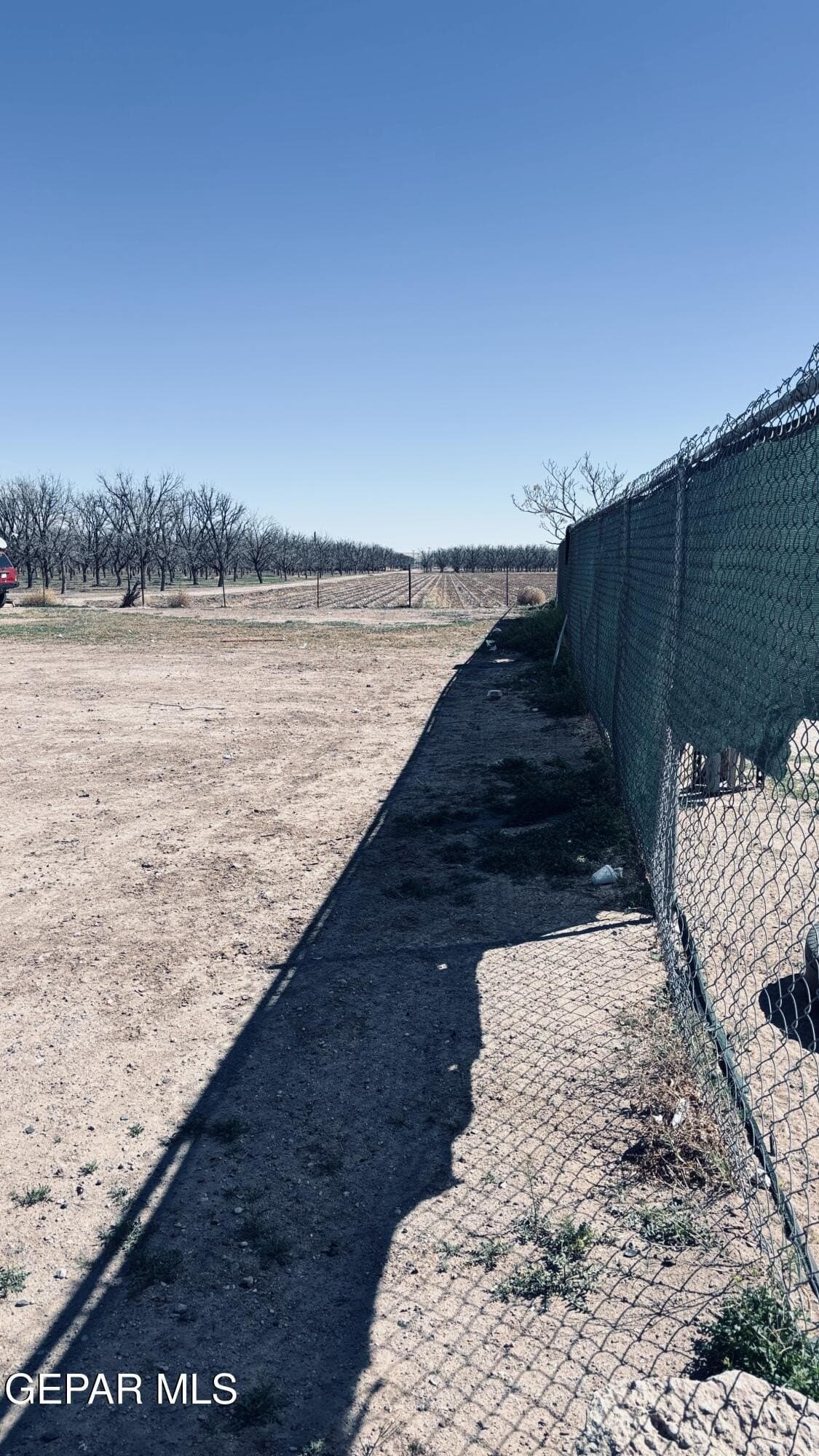 0.11 acres in El Paso County gallery image 3