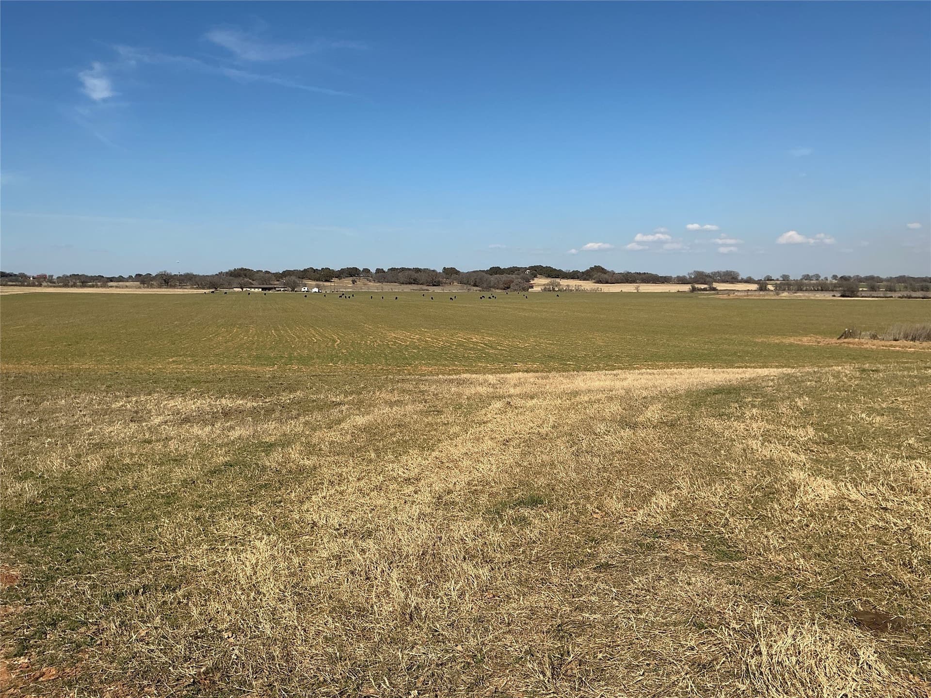 10.09 acres in Comanche County gallery image 2