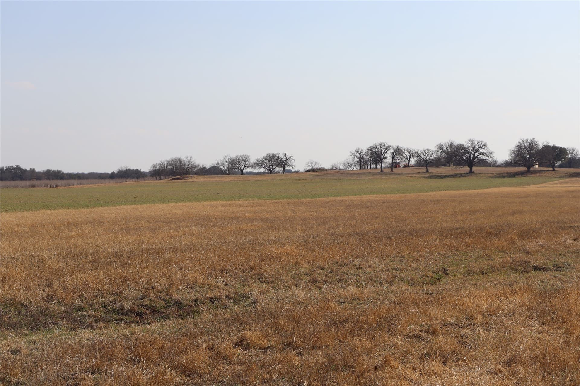 10.09 acres in Comanche County featured view