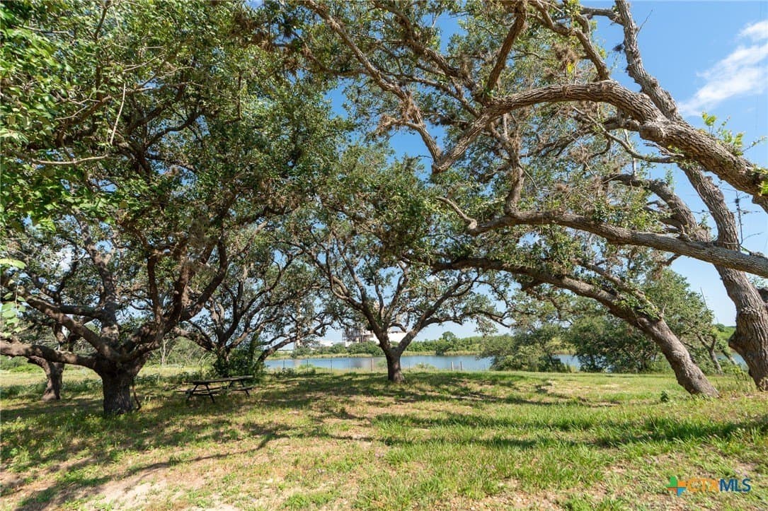 1.29 acres in Goliad County gallery image 3