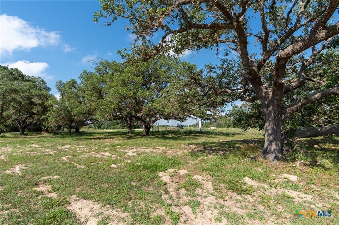 1.29 acres in Goliad County gallery image 2