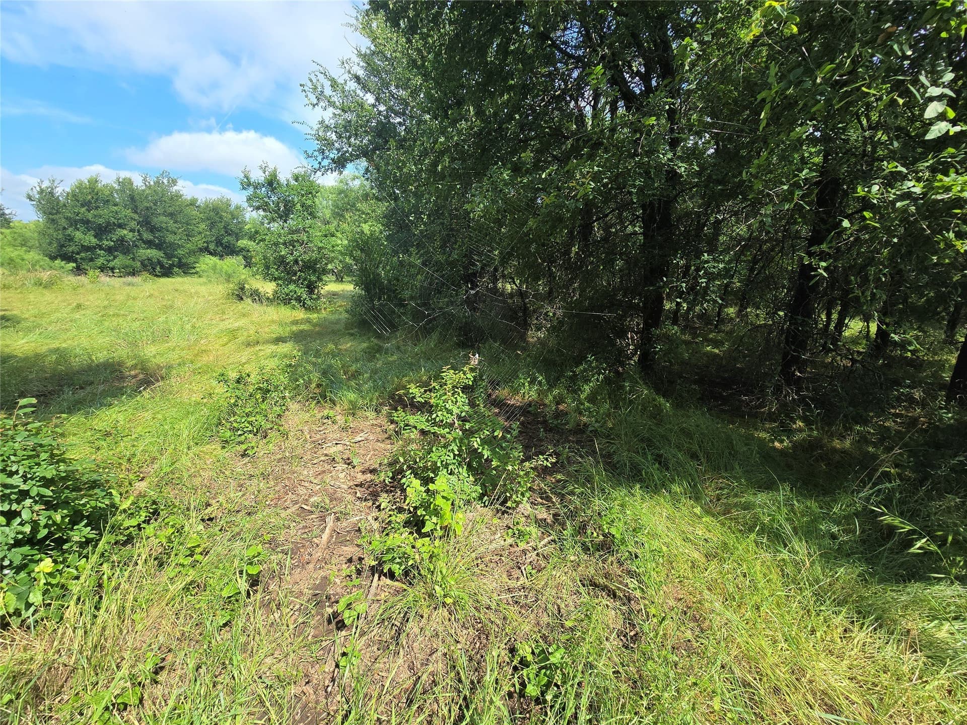 5.17 acres in Palo Pinto County - photo 11