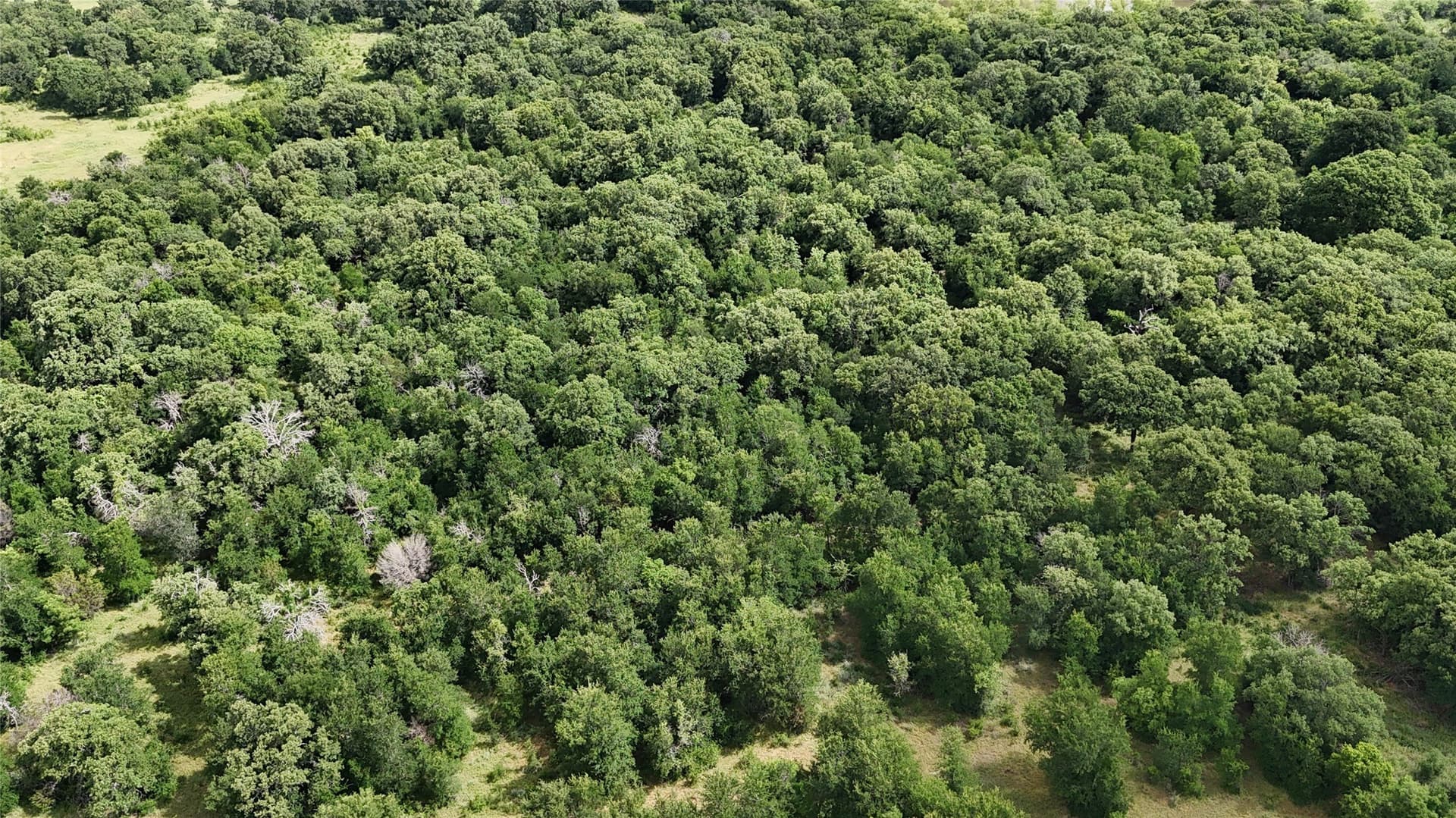 5.17 acres in Palo Pinto County - photo 23