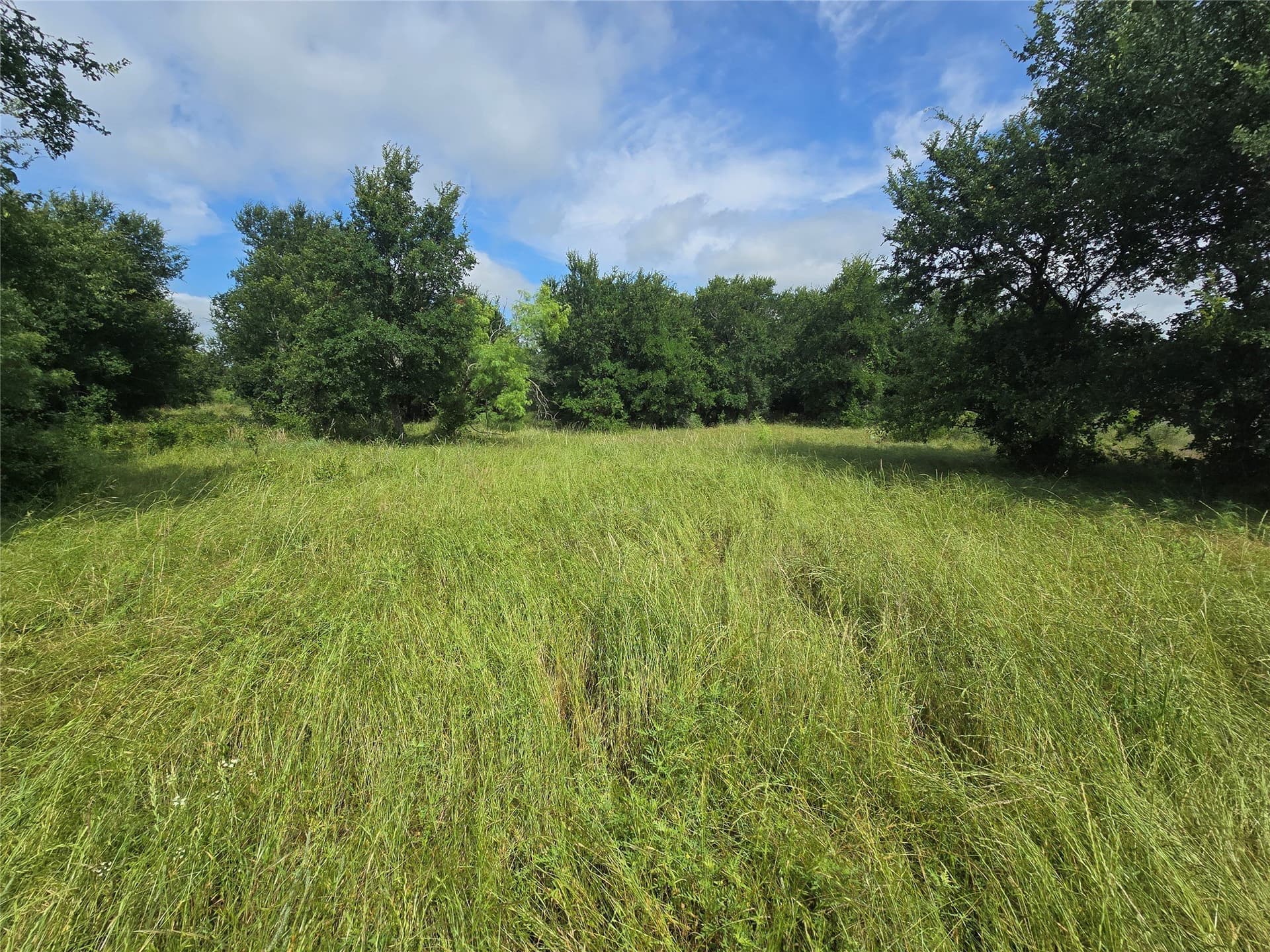 5.17 acres in Palo Pinto County - photo 7
