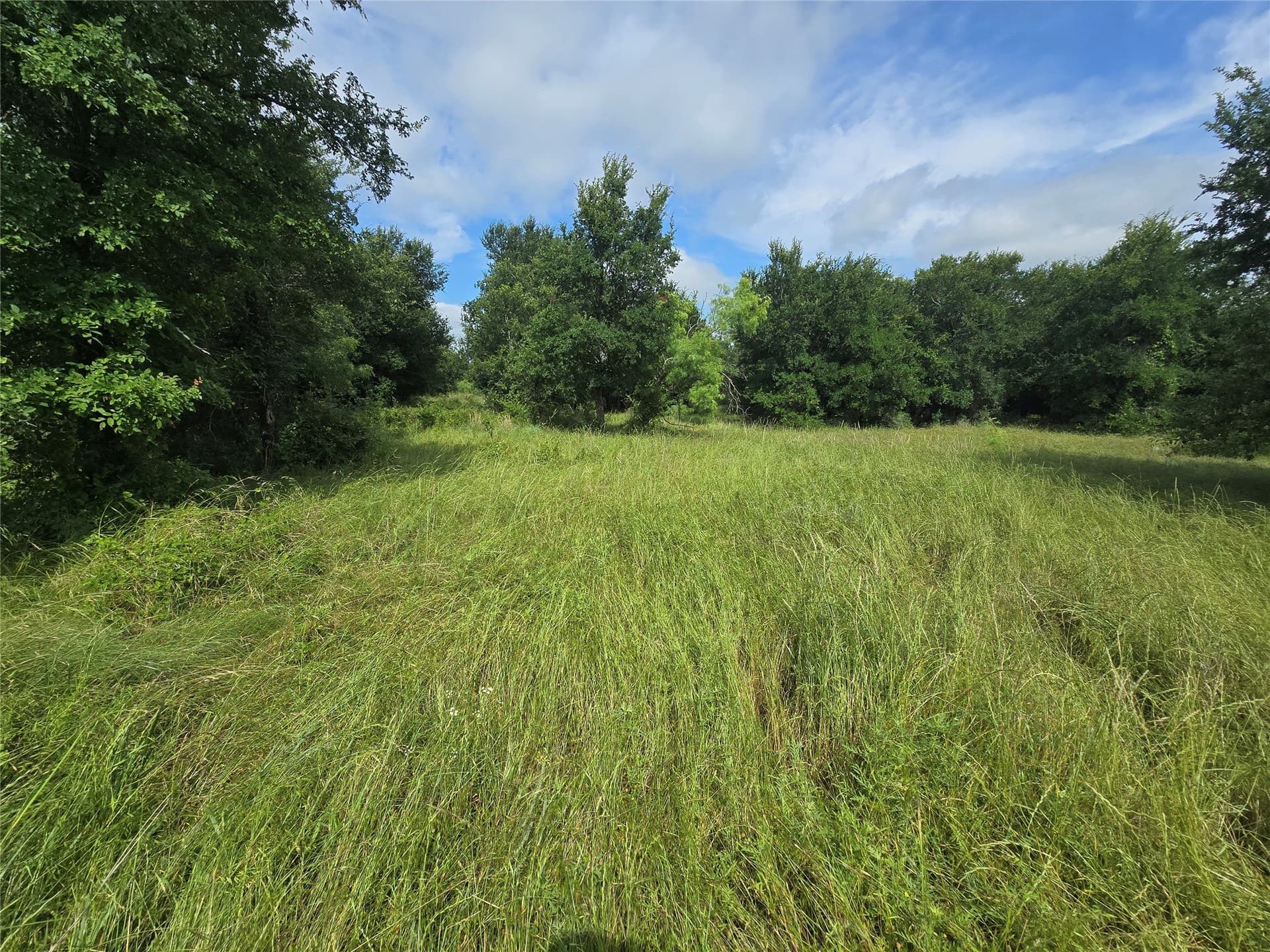 5.17 acres in Palo Pinto County featured view