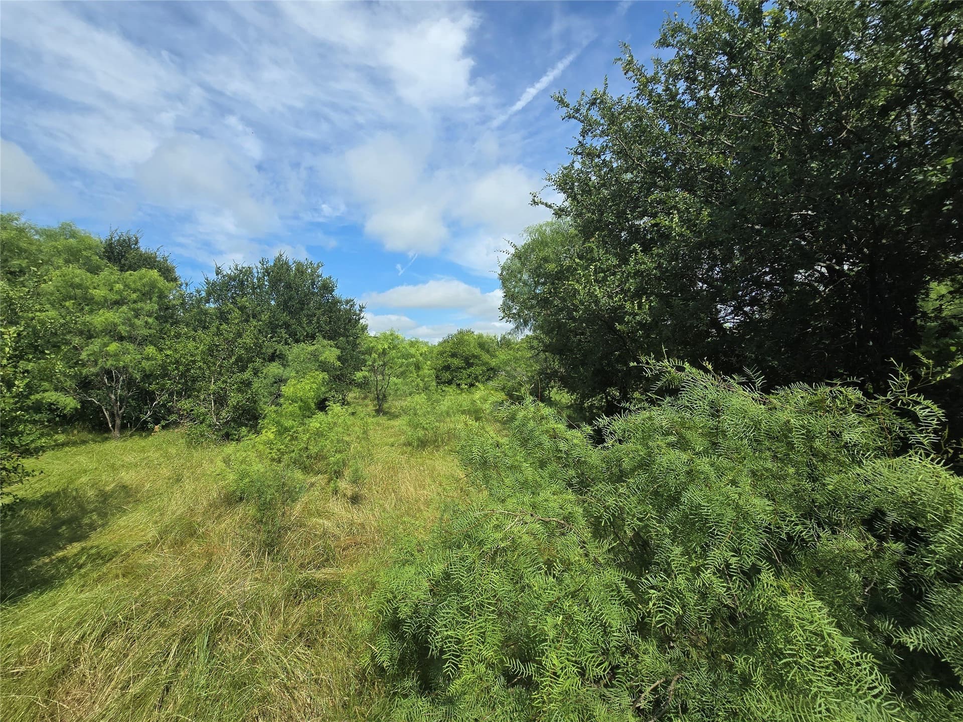 5.17 acres in Palo Pinto County - photo 13