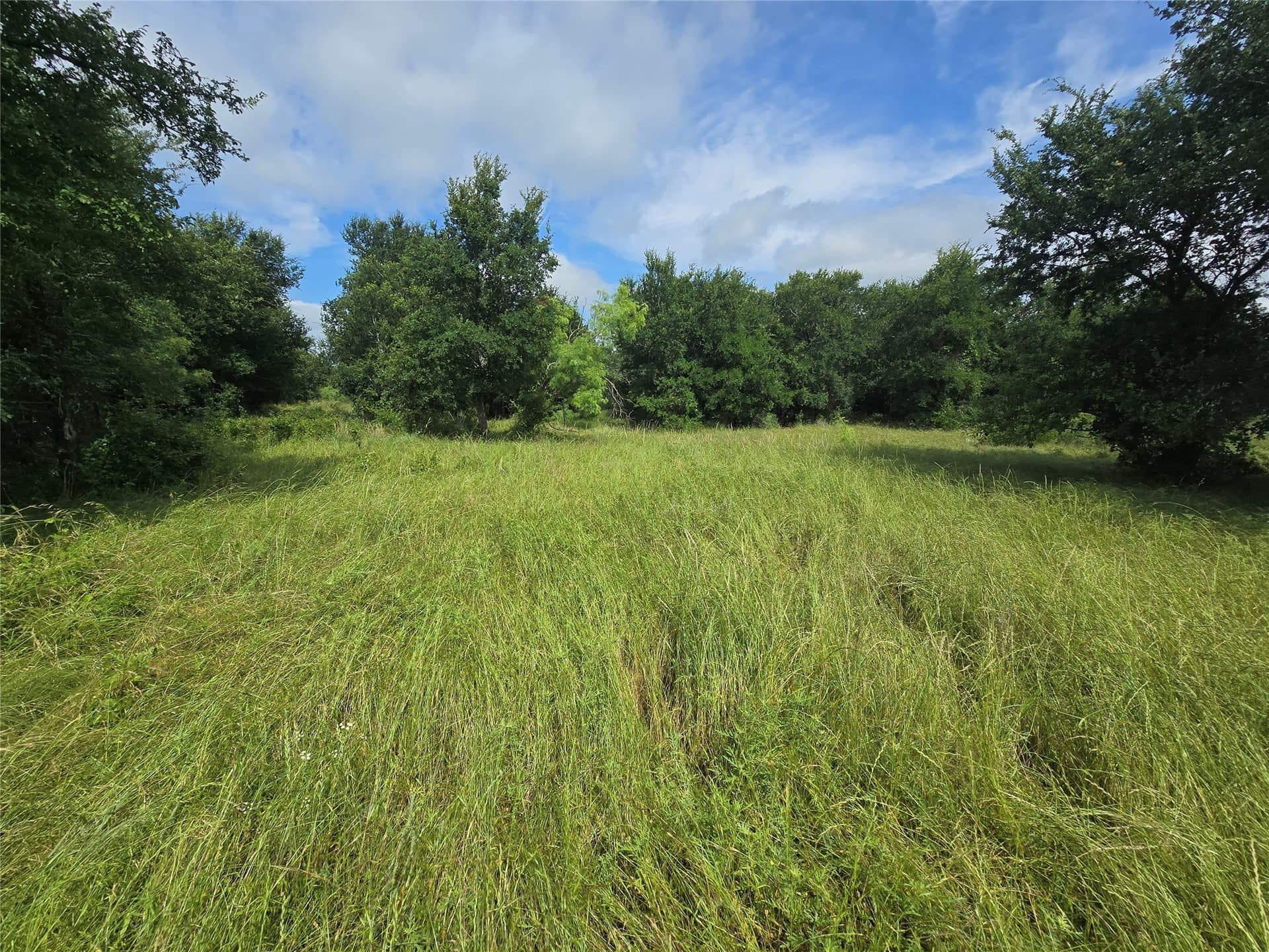 5.17 acres in Palo Pinto County - photo 6