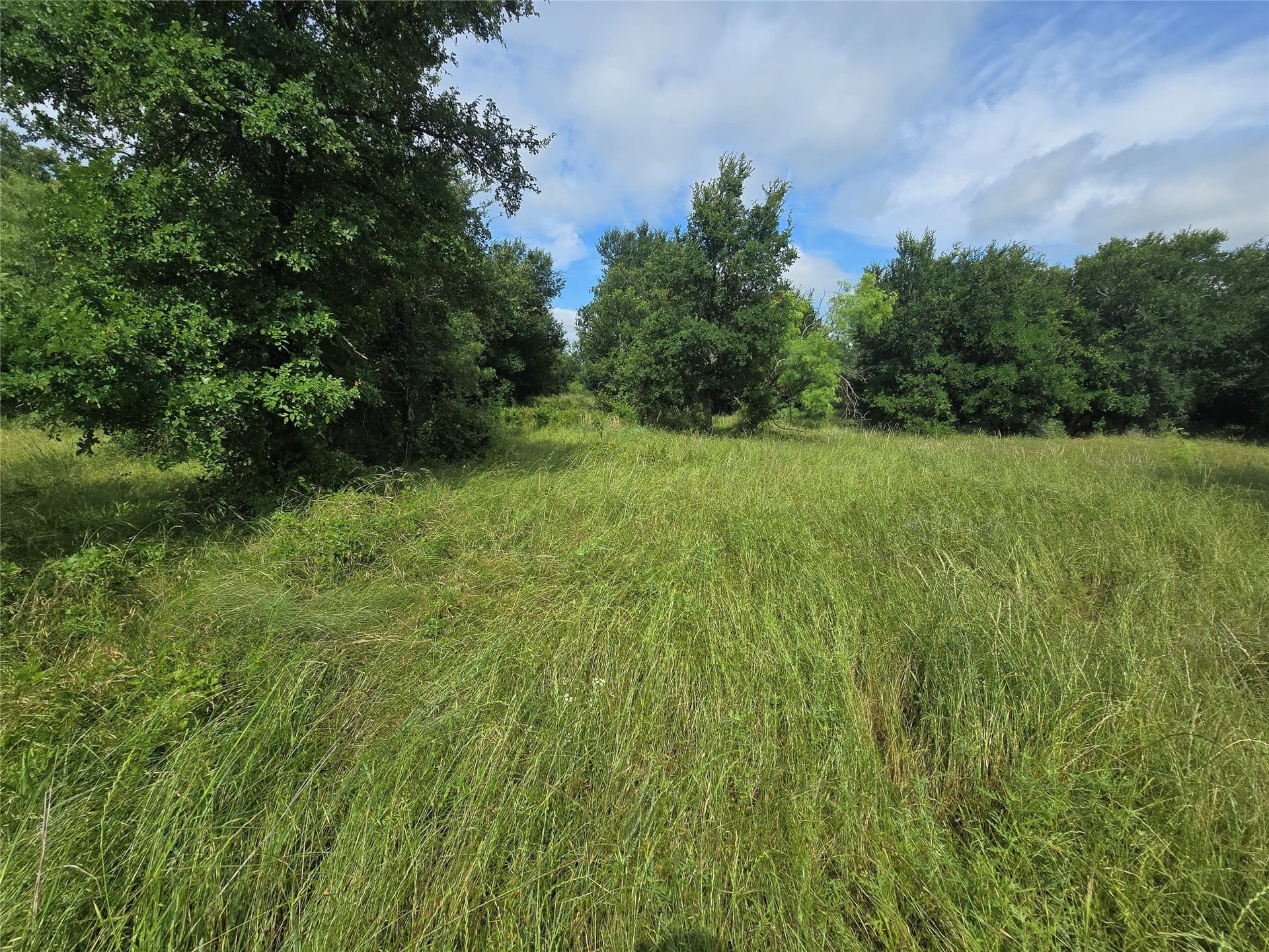 5.17 acres in Palo Pinto County gallery image 3