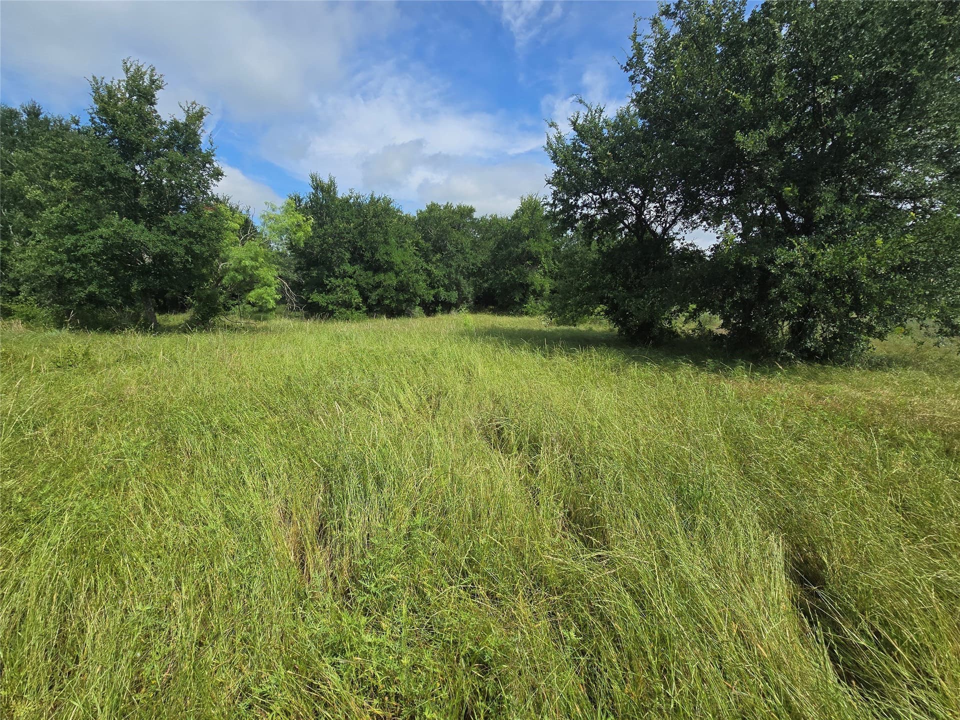 5.17 acres in Palo Pinto County - photo 8