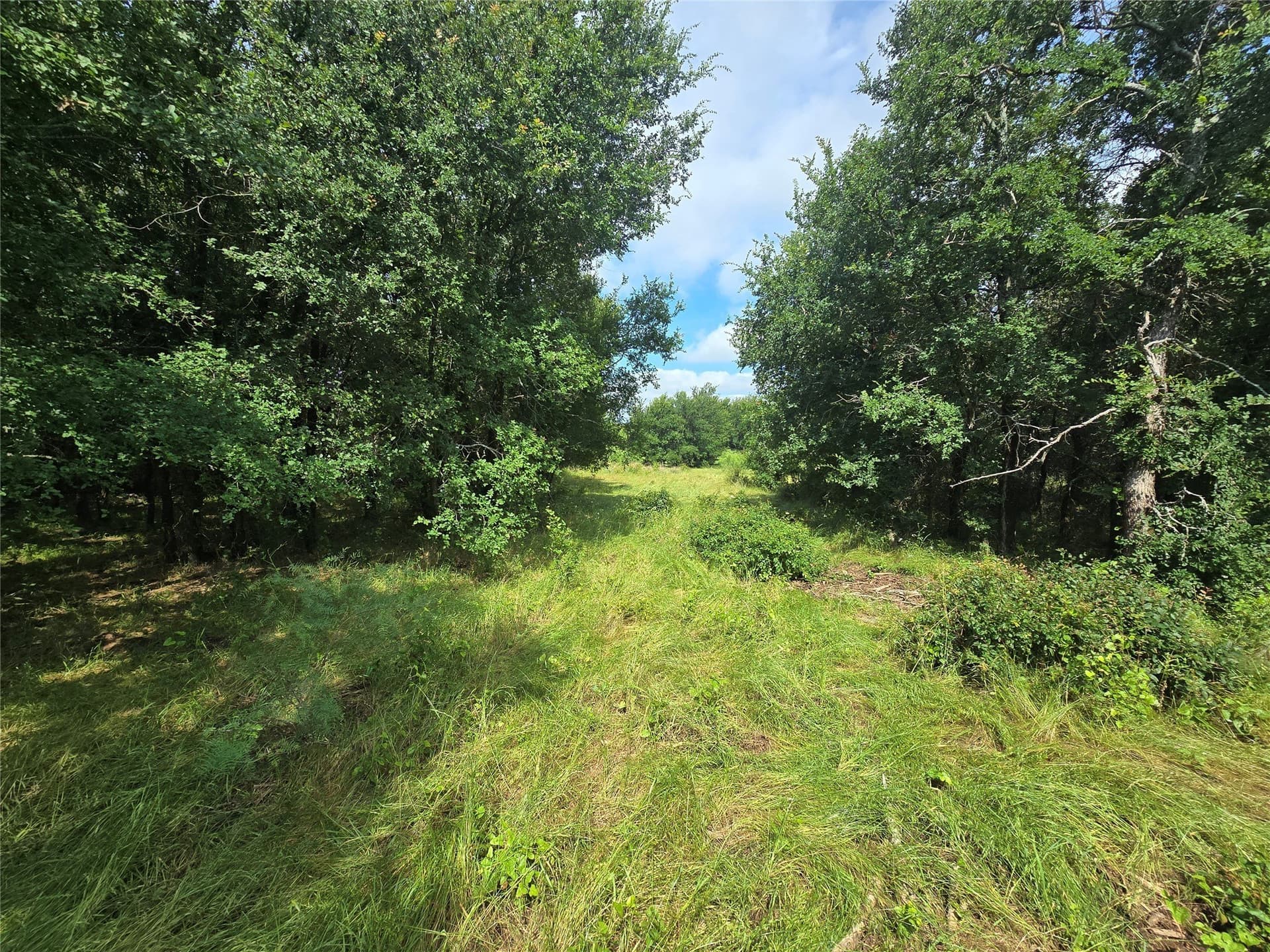 5.17 acres in Palo Pinto County - photo 10