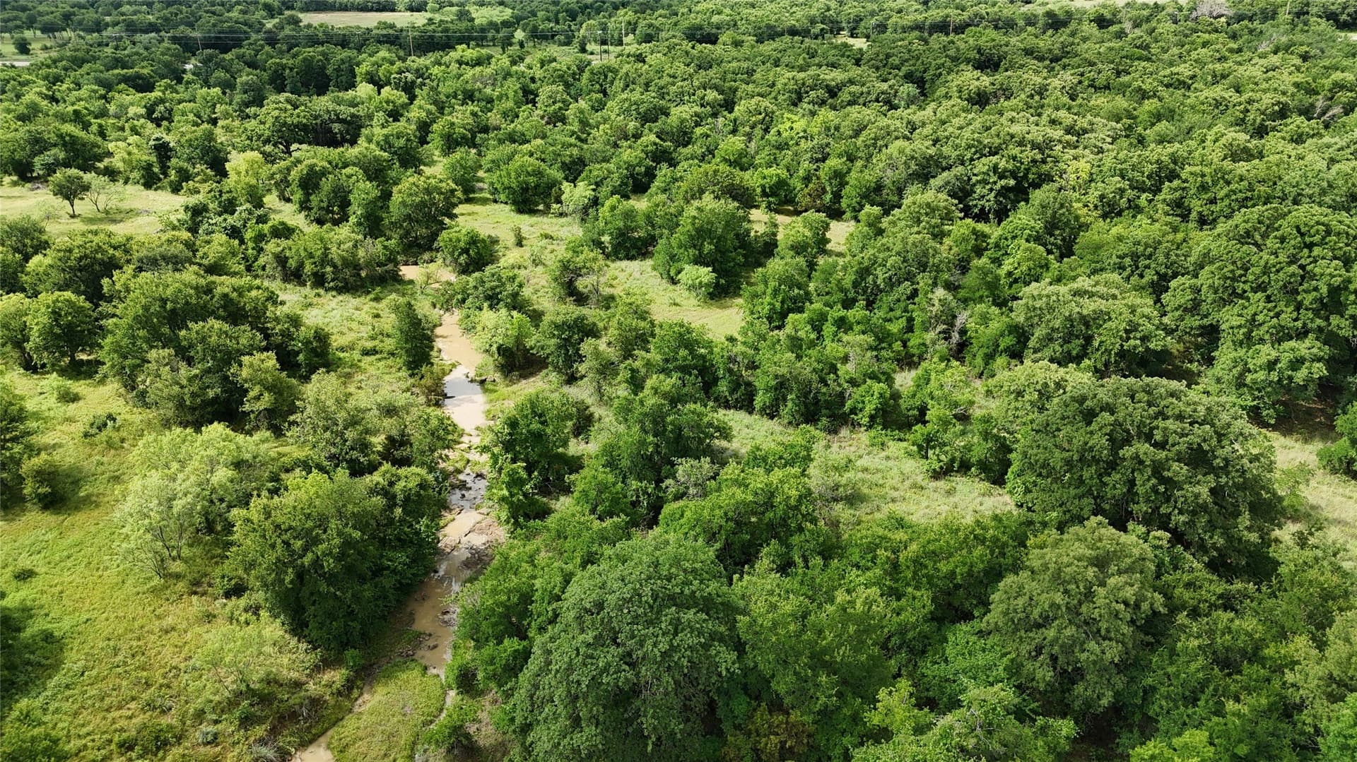 5.17 acres in Palo Pinto County gallery image 4