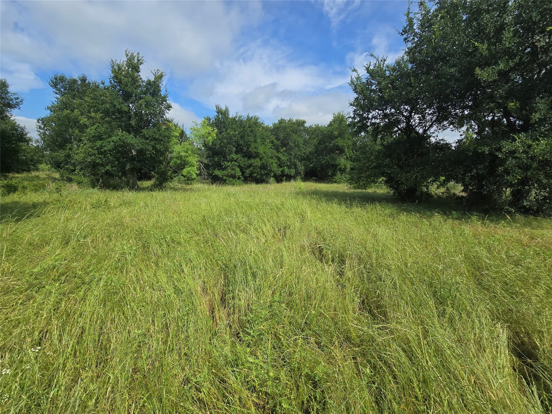 5.17 acres in Palo Pinto County - photo 9