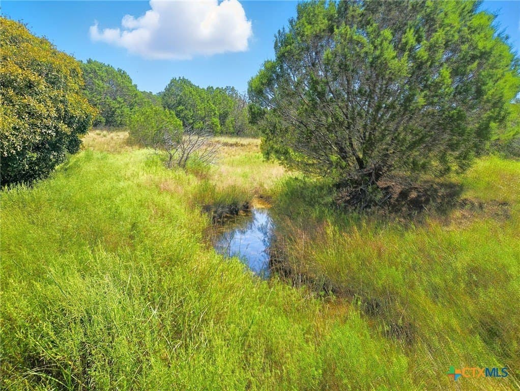 10.01 acres in Hamilton County - photo 16