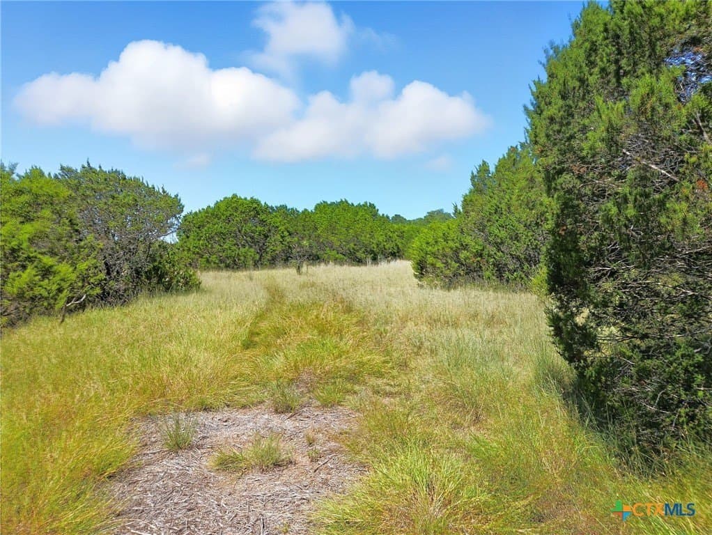 10.01 acres in Hamilton County - photo 21