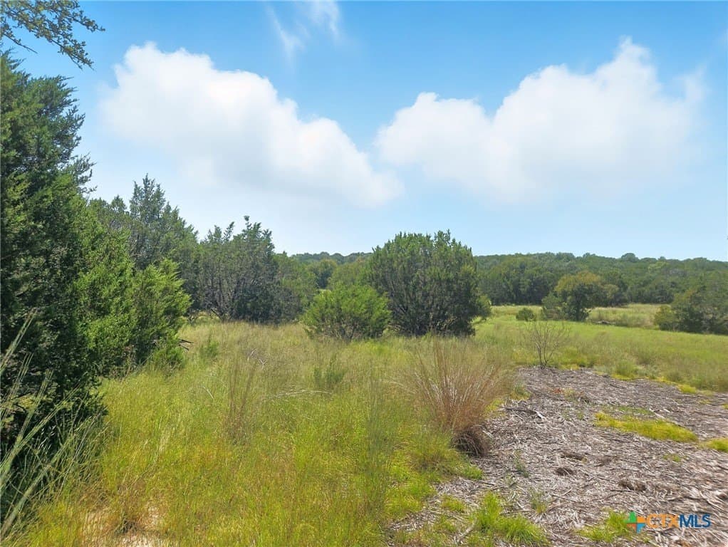 10.01 acres in Hamilton County - photo 17