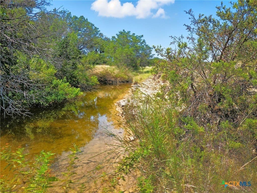 10.01 acres in Hamilton County - photo 13