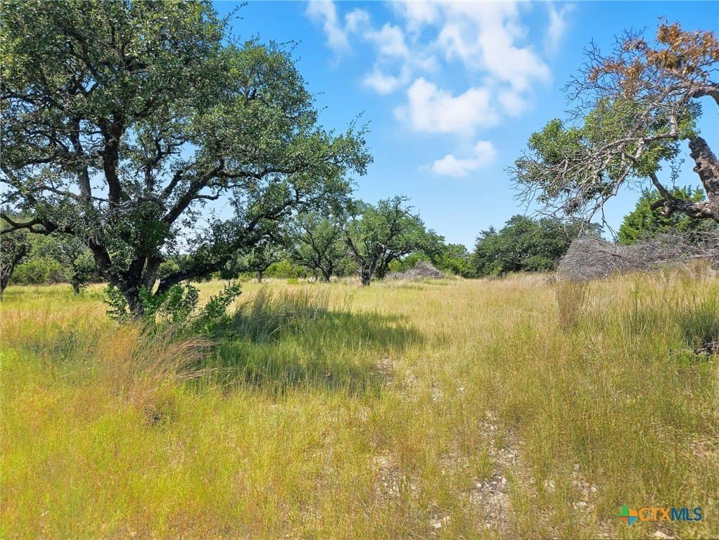 10.01 acres in Hamilton County - photo 10