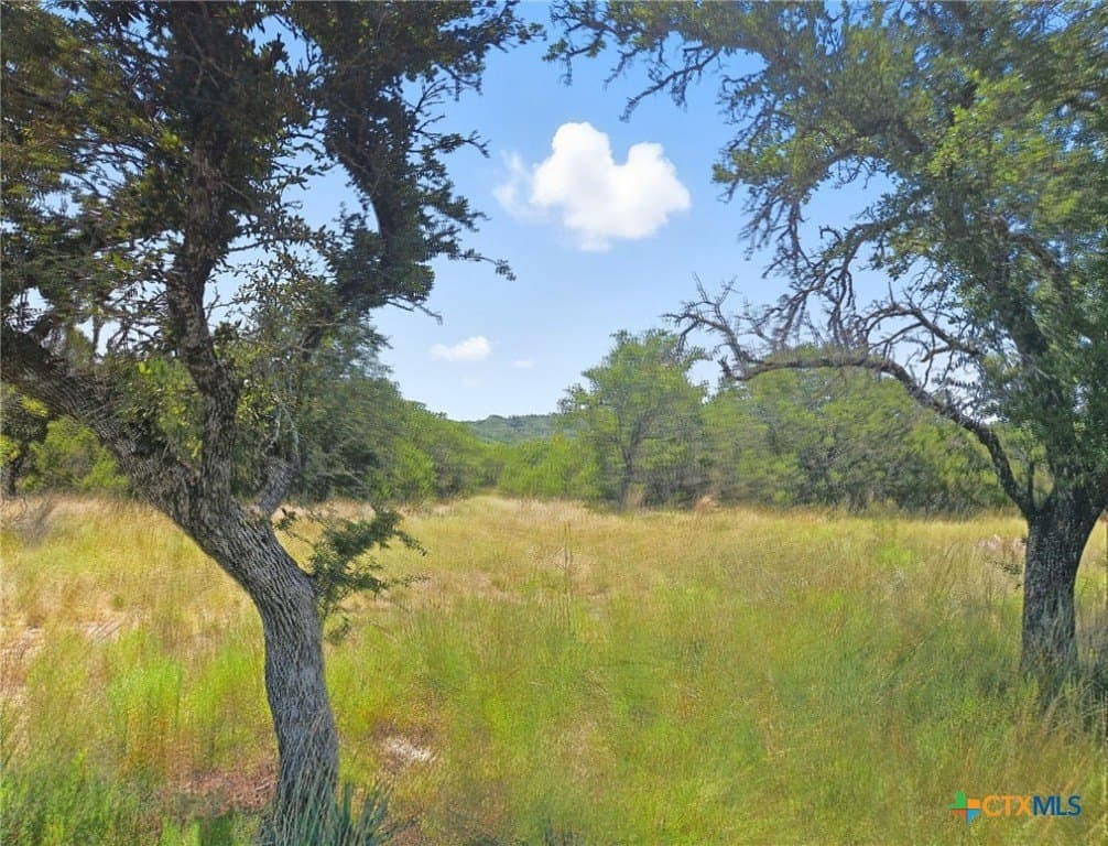 10.01 acres in Hamilton County gallery image 3