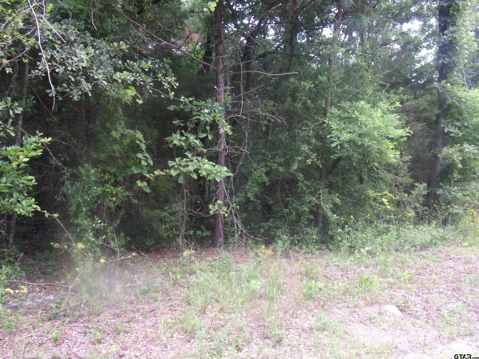0.23 acres in Van Zandt County featured view