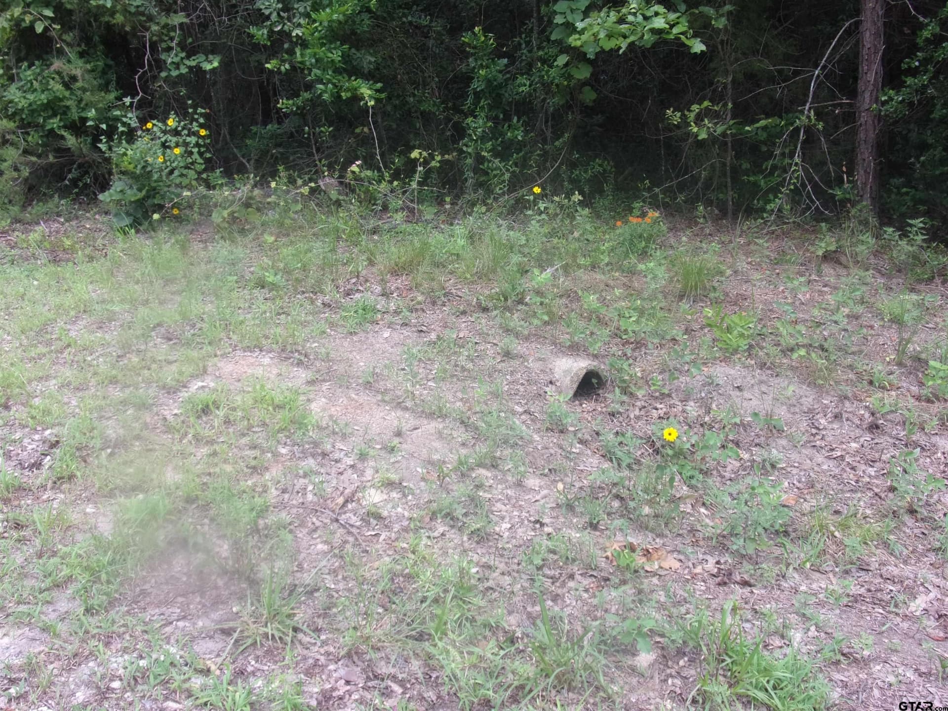 0.23 acres in Van Zandt County gallery image 2