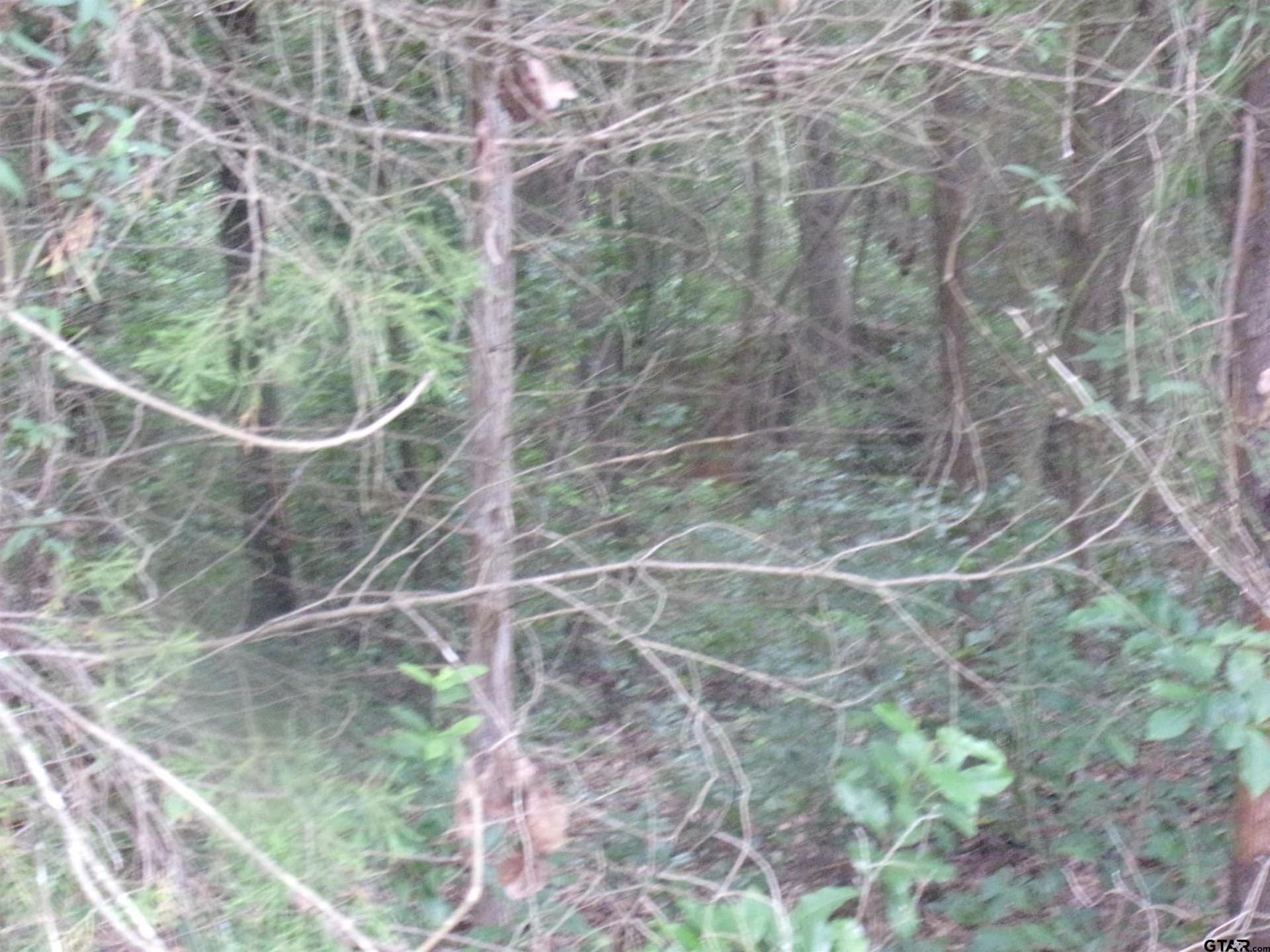 0.23 acres in Van Zandt County gallery image 3