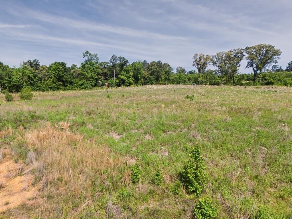 22.09 acres in Marion County - photo 9