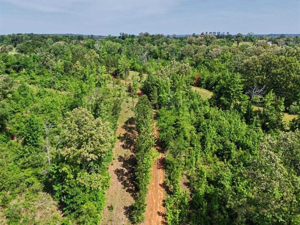 22.09 acres in Marion County - photo 12
