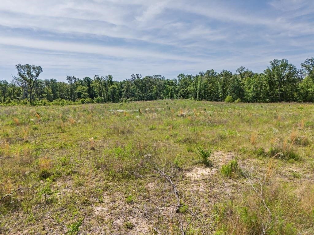 22.09 acres in Marion County - photo 21
