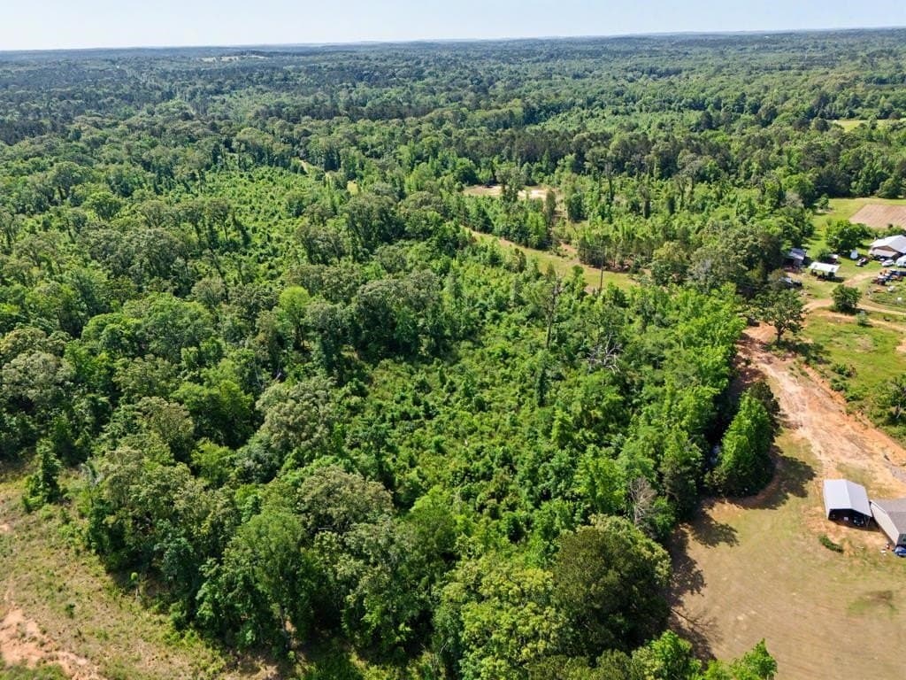 22.09 acres in Marion County - photo 19
