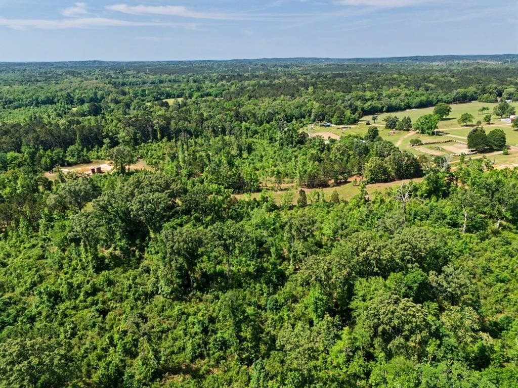 22.09 acres in Marion County - photo 10