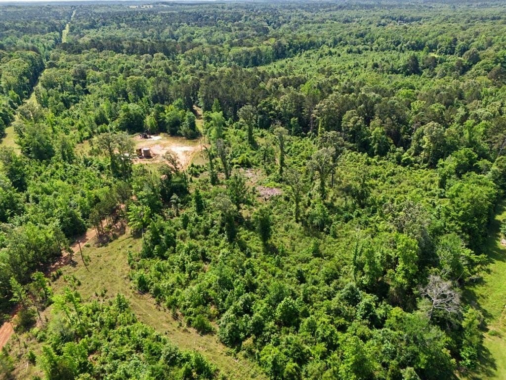22.09 acres in Marion County - photo 17