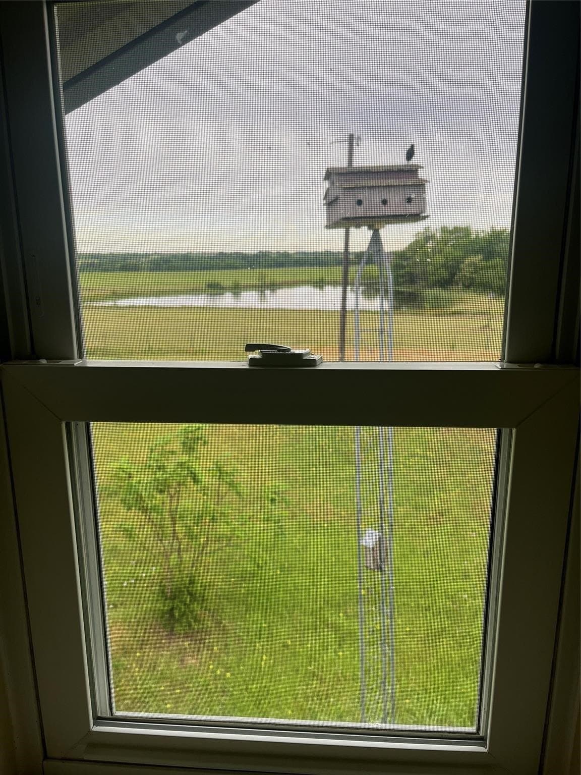 25 acres in Grayson County - photo 8
