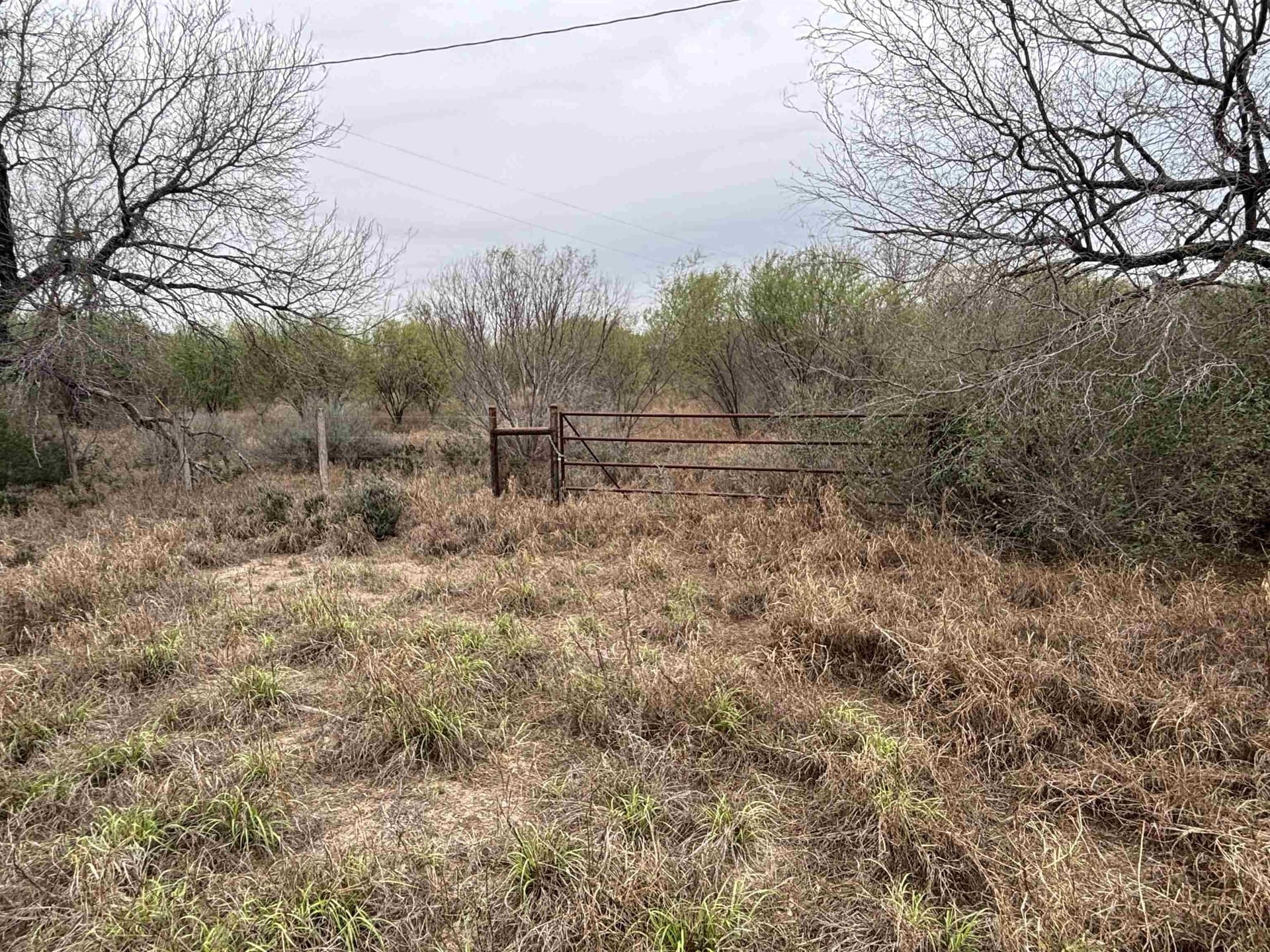 45.43 acres in Zapata County