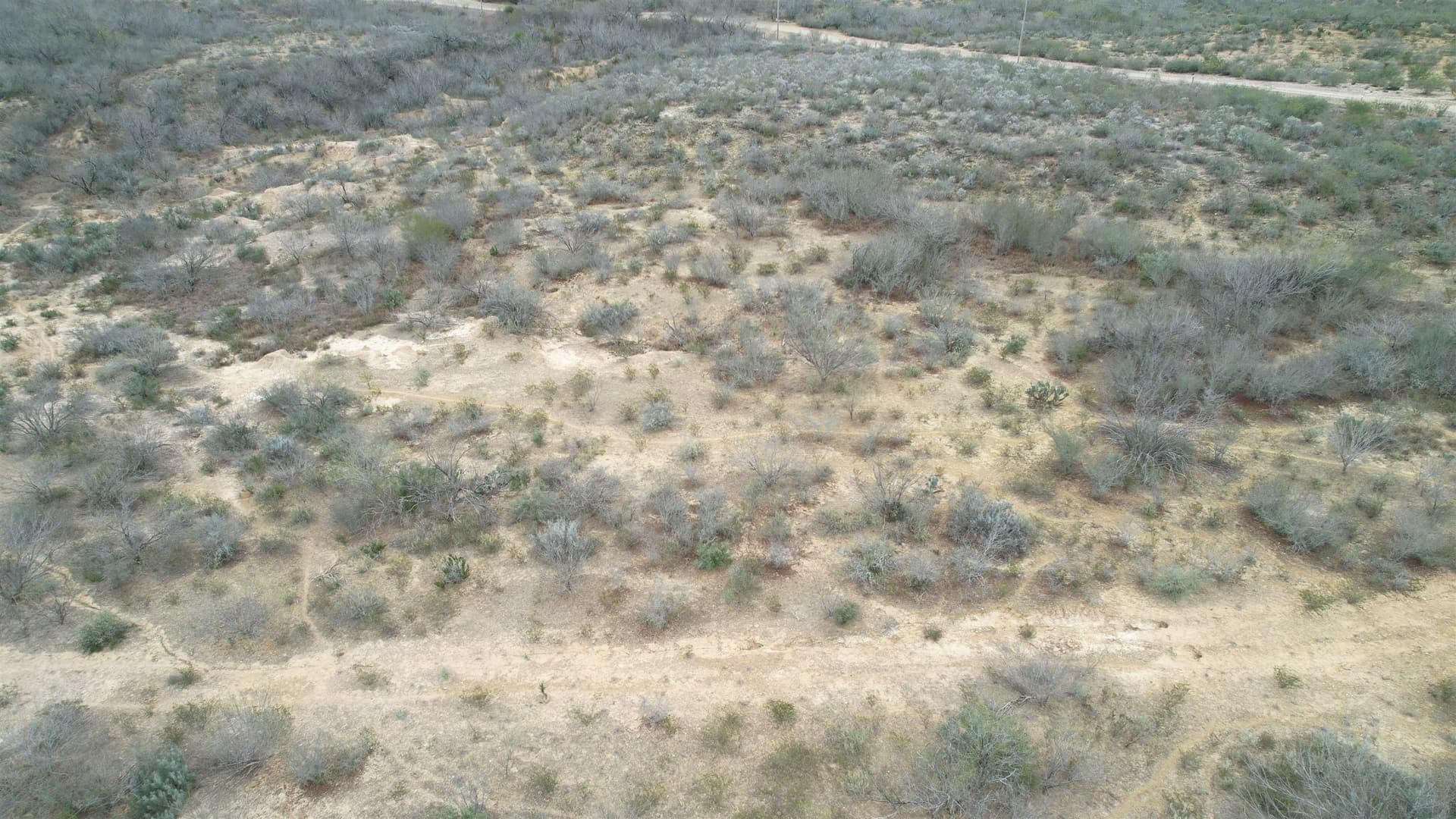 45.43 acres in Zapata County gallery image 3