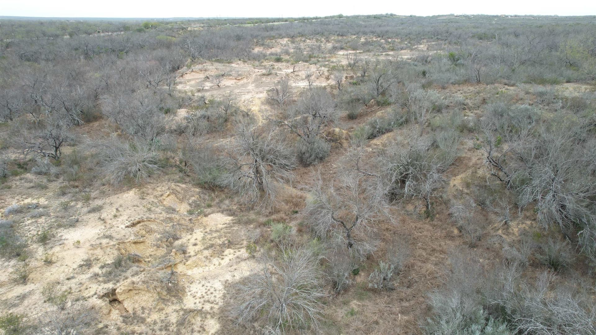 45.43 acres in Zapata County gallery image 4