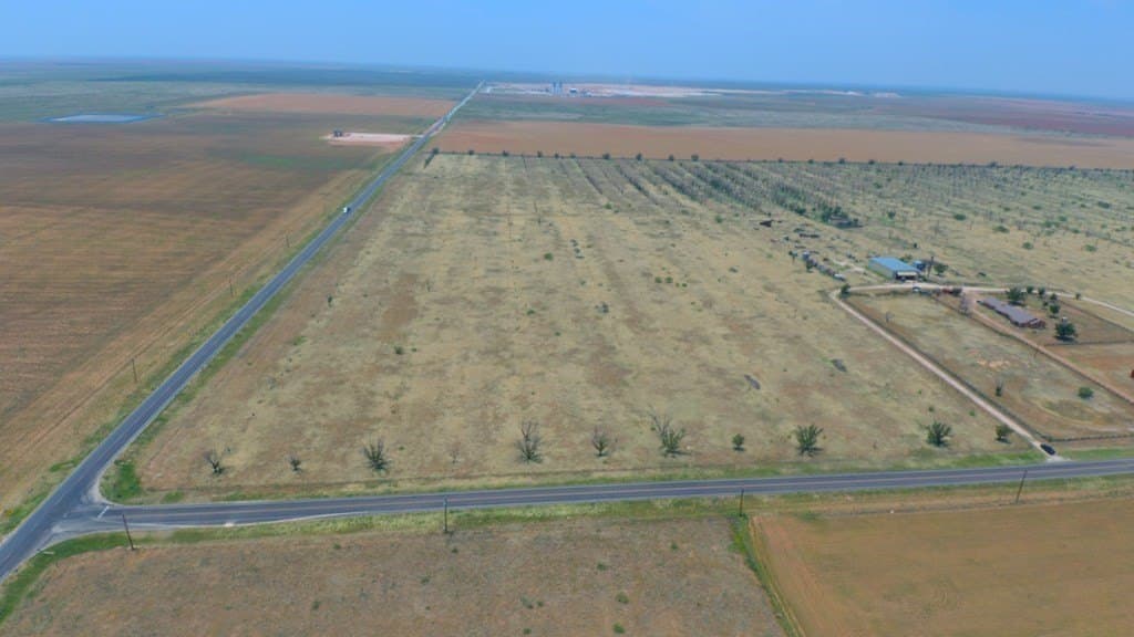 25 acres in Dawson County gallery image 4