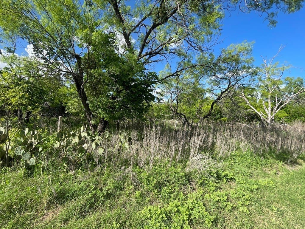 0.8 acres in Menard County gallery image 3