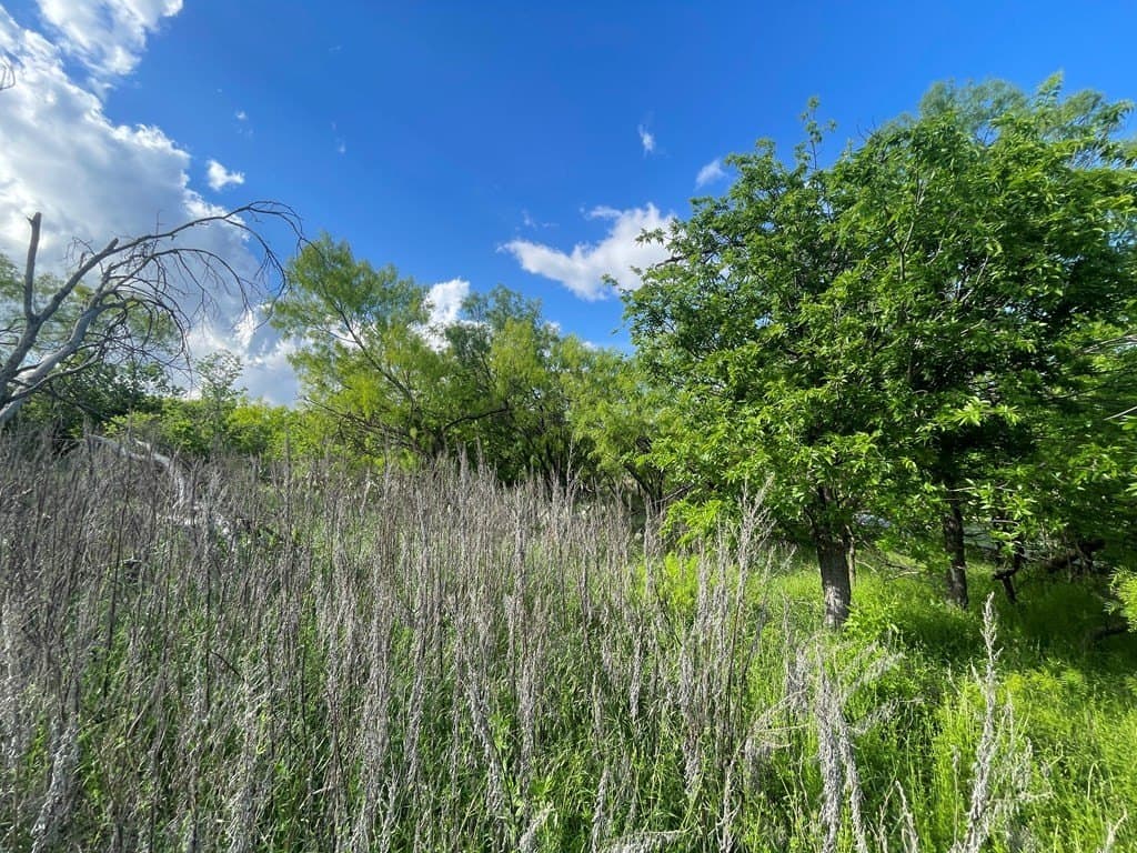 0.8 acres in Menard County gallery image 4