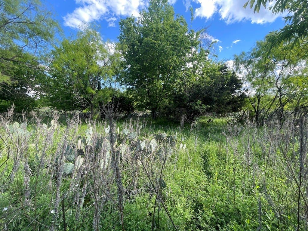 0.8 acres in Menard County featured view