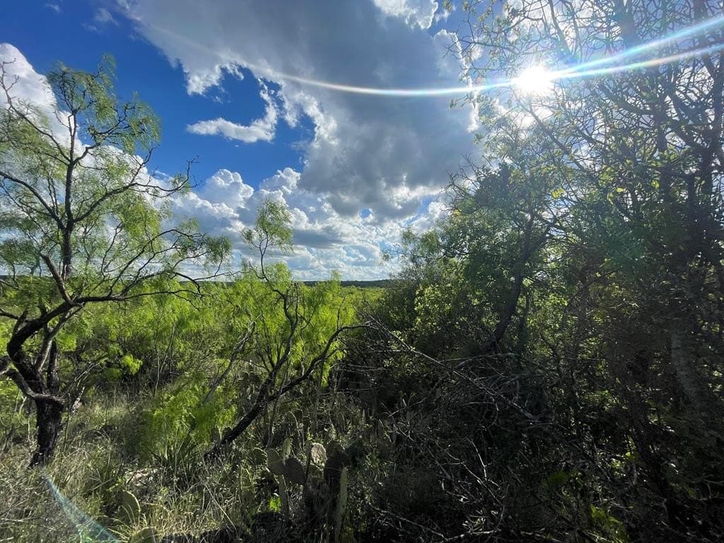 0.8 acres in Menard County