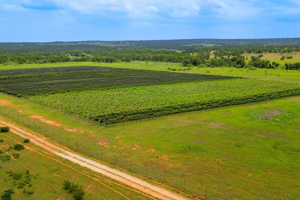 248.61 acres in Gillespie County - photo 12