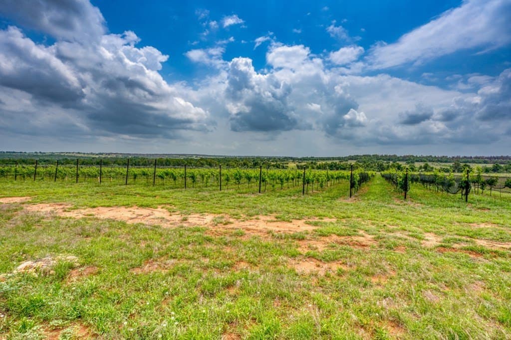 248.61 acres in Gillespie County - photo 8
