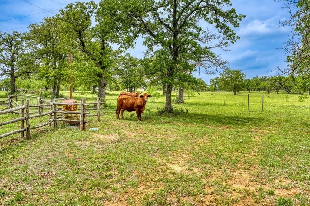 248.61 acres in Gillespie County - photo 22