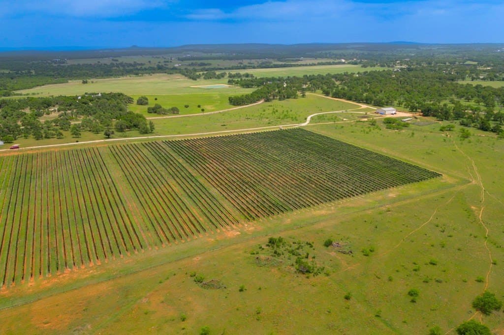 248.61 acres in Gillespie County - photo 13