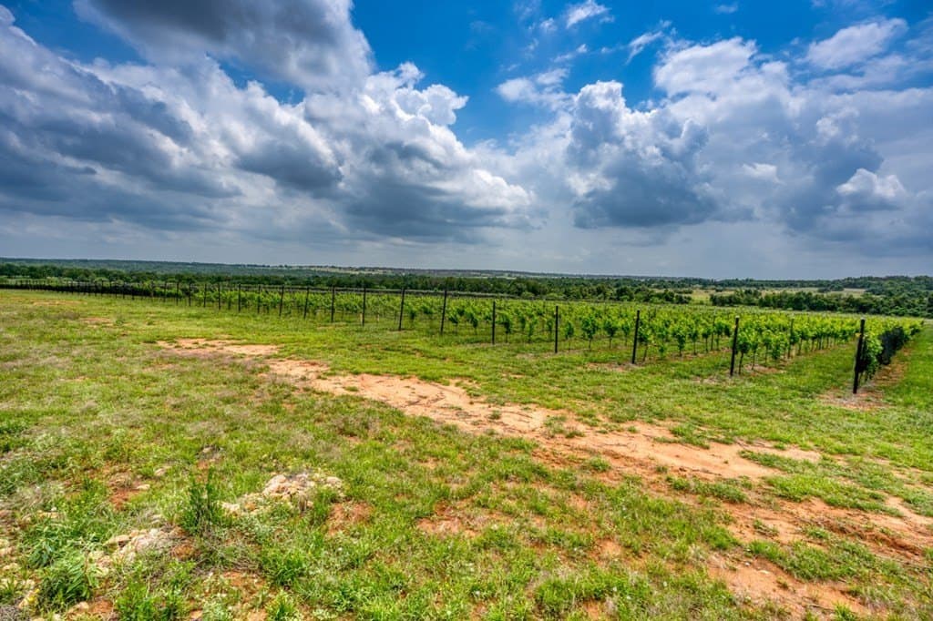 248.61 acres in Gillespie County - photo 10