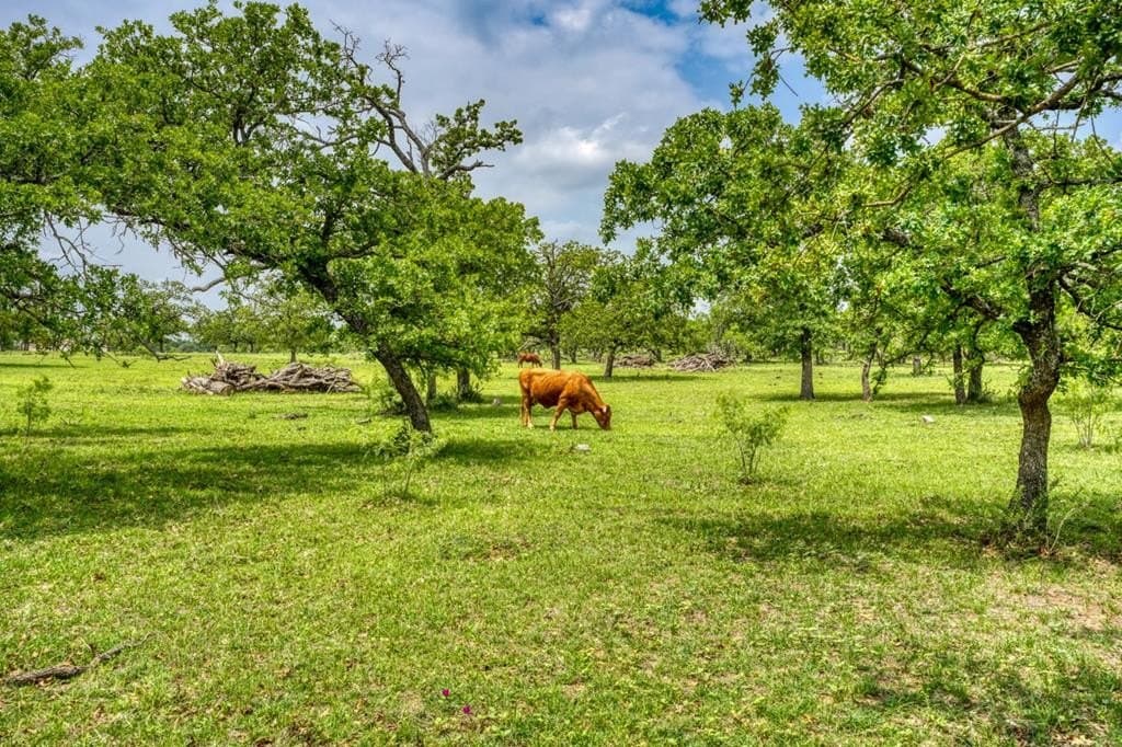 248.61 acres in Gillespie County - photo 21