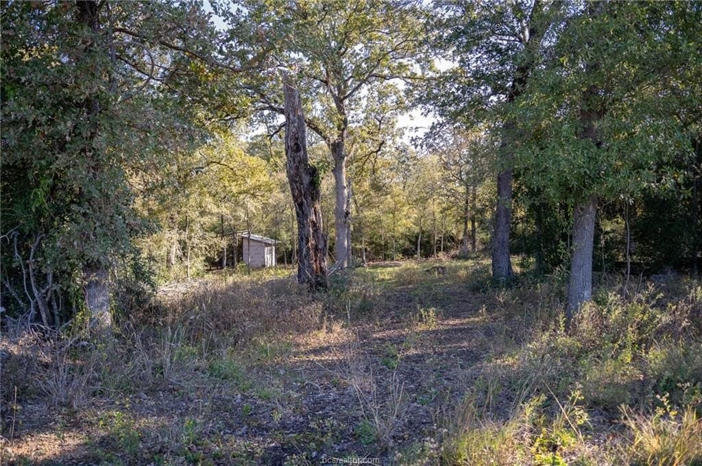 1 acres in Robertson County - photo 27