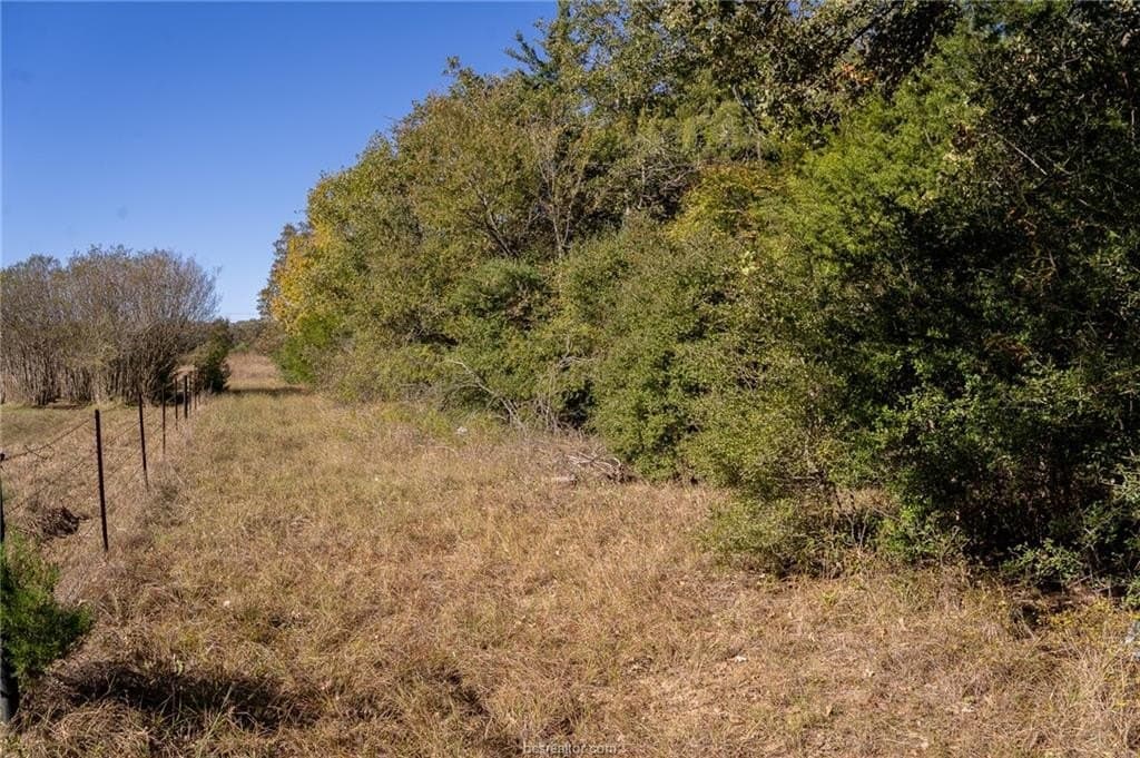 1 acres in Robertson County - photo 17